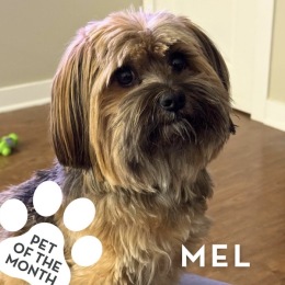 Instagram post from @parcwestborough on May 04, 2025 00:00:00am